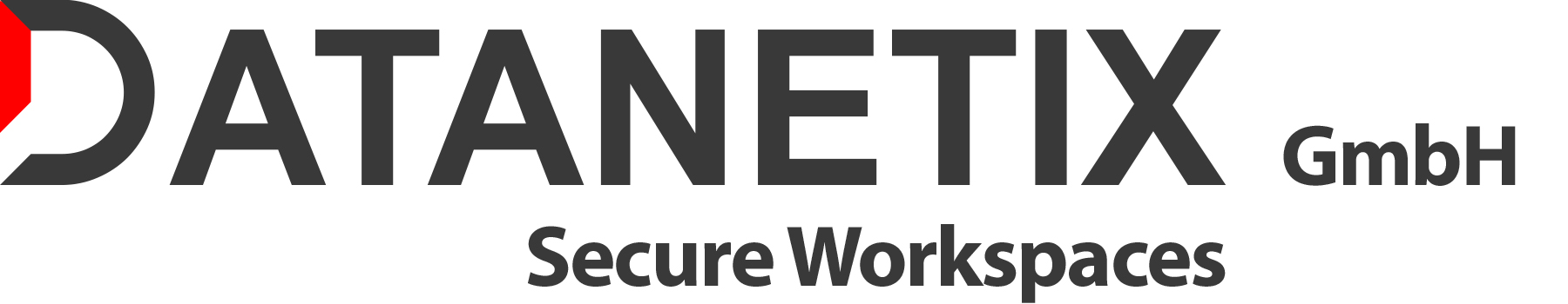 Datanetix Logo